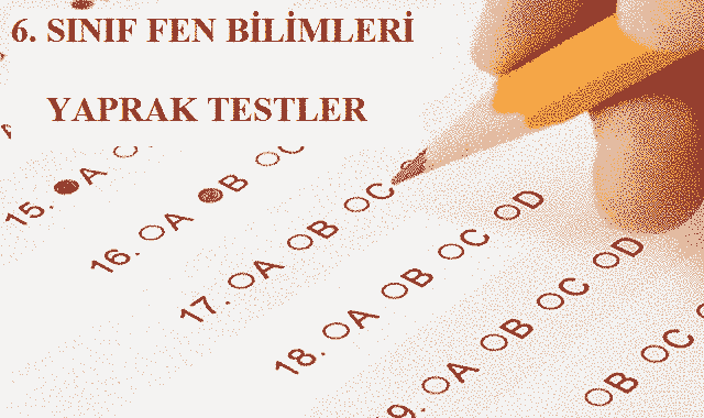 6 Sinif Destek Ve Hareket Sistemi Fen Bilimleri Yaprak Test