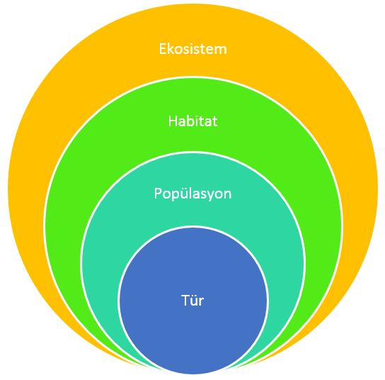 Tür-Popülasyon-Habitat-Ekosistem İlişkisi